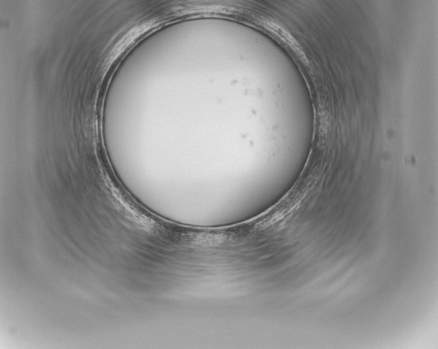 X0000060240890200511111926