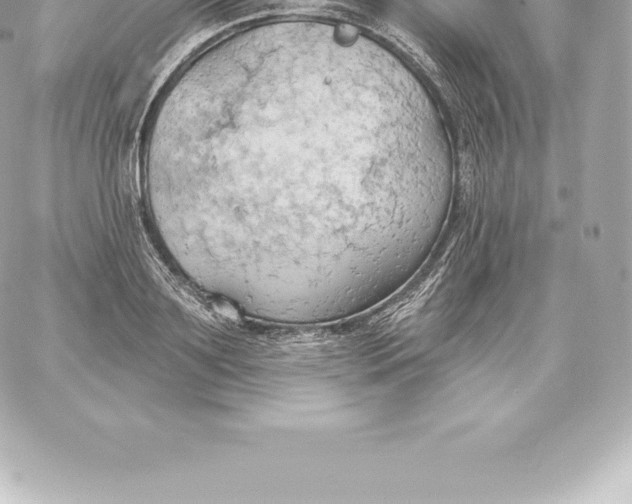 X0000060240891200511111926