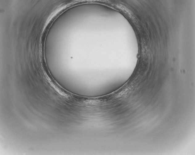 X0000060240894200511111926