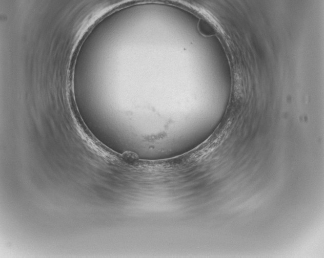 X0000060240895200511111926