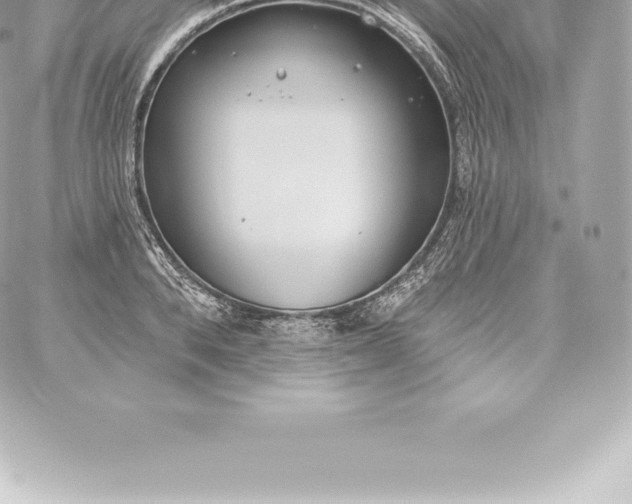 X0000060240896200511111926