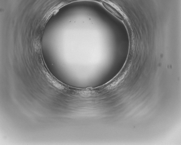 X0000060240897200511111926