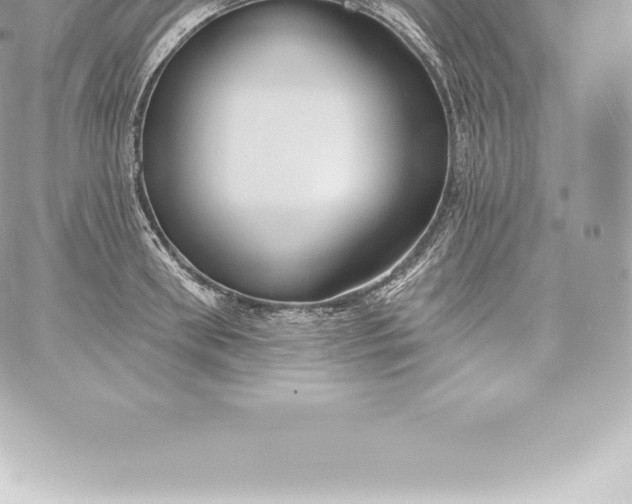 X0000060240898200511111926