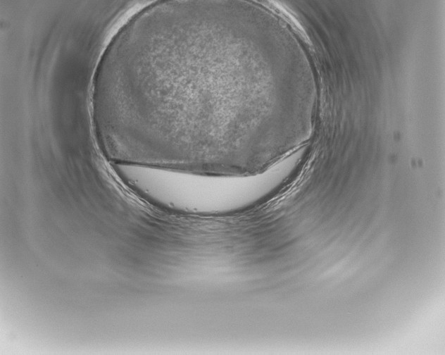 X0000060240899200511111926