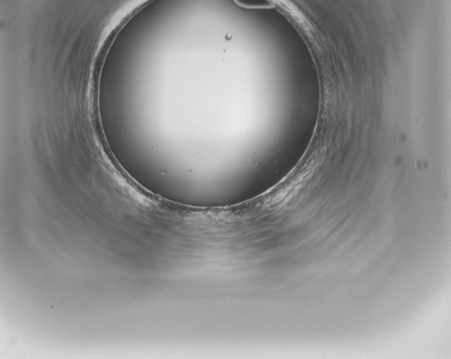 X0000060240902200511111926