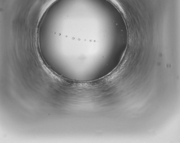 X0000060240903200511111926