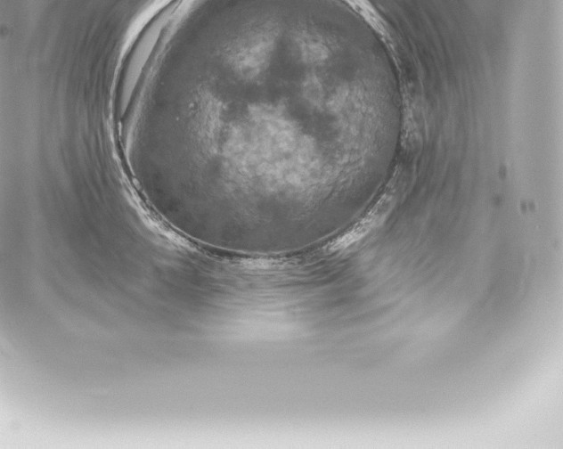 X0000060240904200511111926