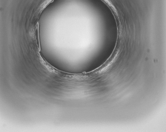 X0000060240905200511111926