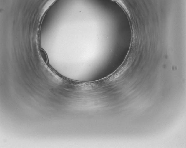 X0000060240906200511111926