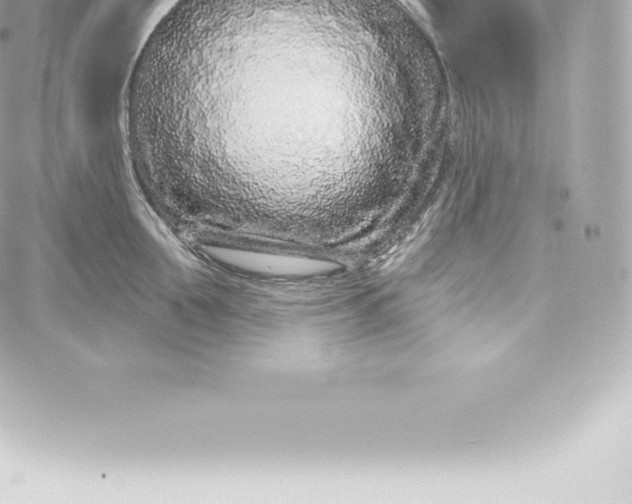 X0000060240907200511111926