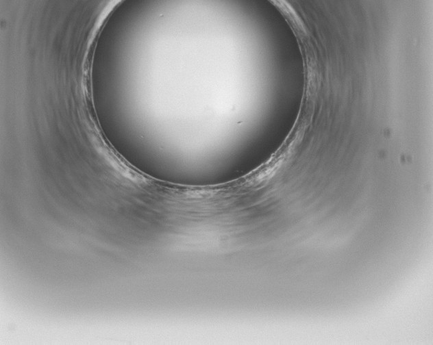 X0000060240908200511111926