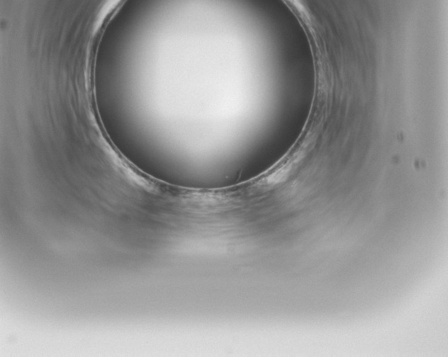 X0000060240910200511111926