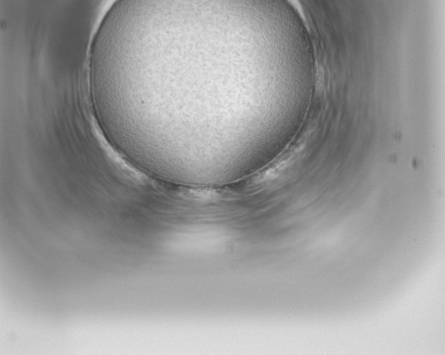 X0000060240911200511111926