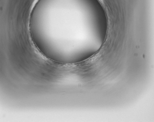 X0000060240912200511111926