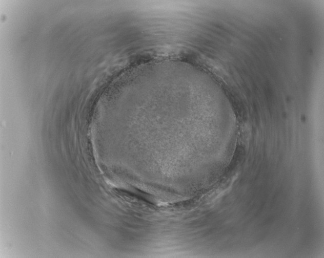 X0000060240913200511111925