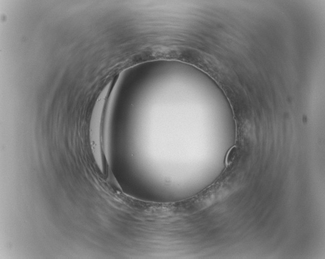 X0000060240914200511111925