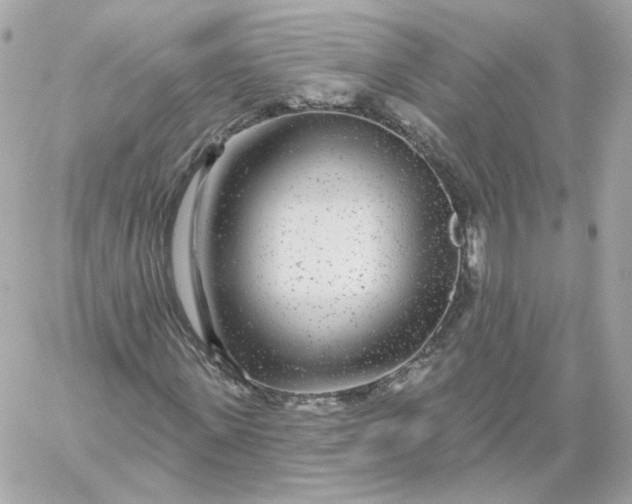 X0000060240915200511111925