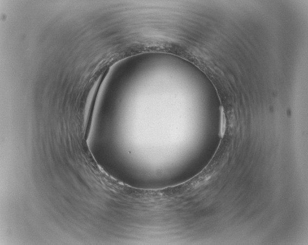 X0000060240916200511111925