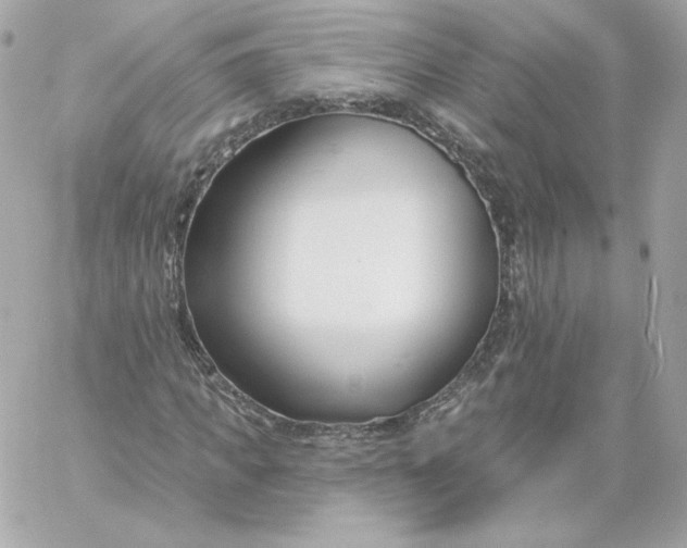 X0000060240917200511111925