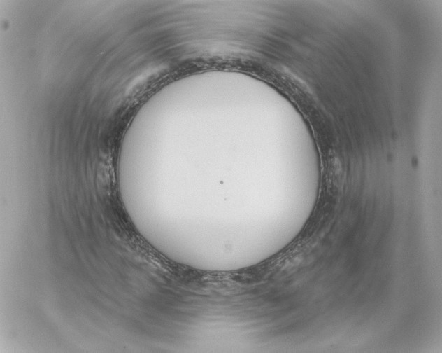 X0000060240918200511111925