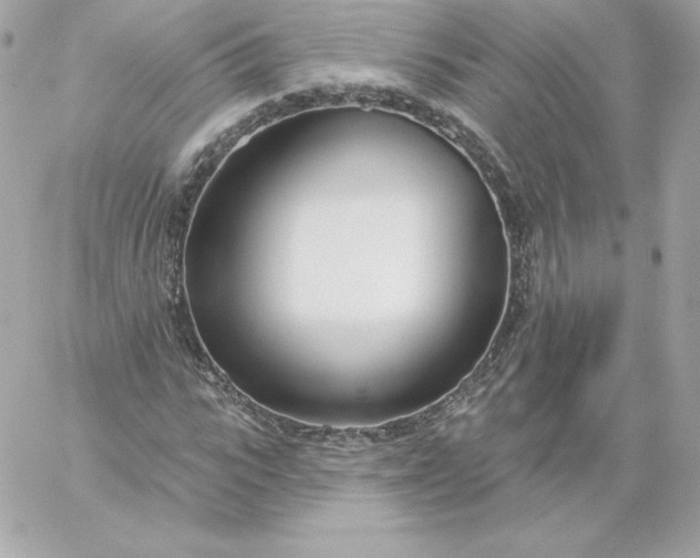 X0000060240919200511111925