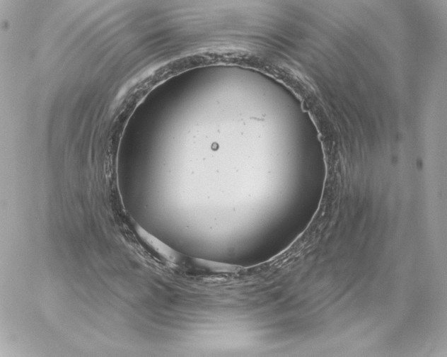 X0000060240920200511111925