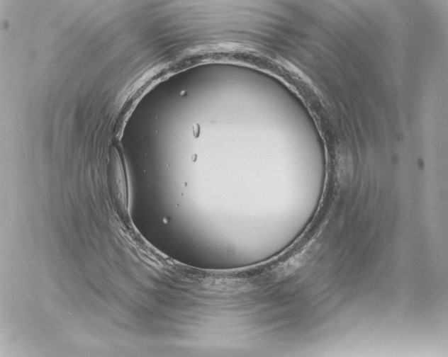 X0000060240921200511111925