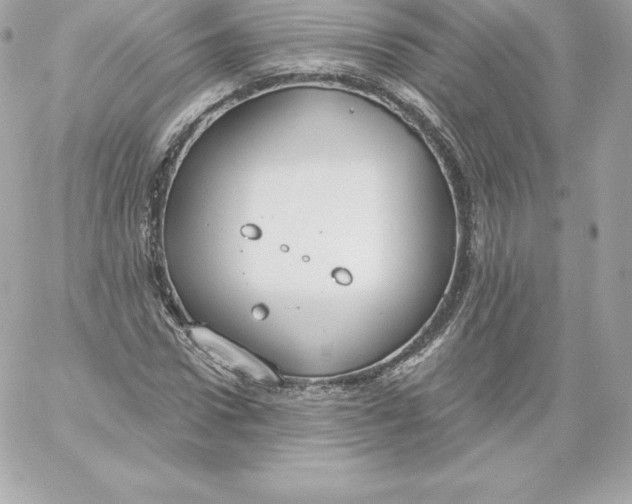 X0000060240922200511111925