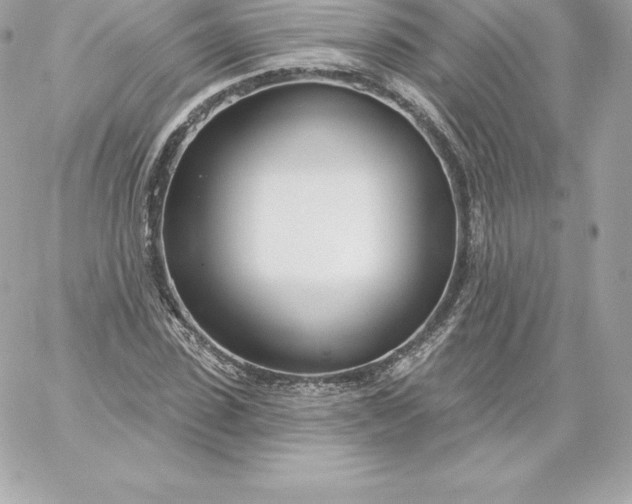 X0000060240923200511111925