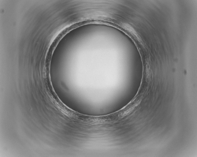 X0000060240924200511111925