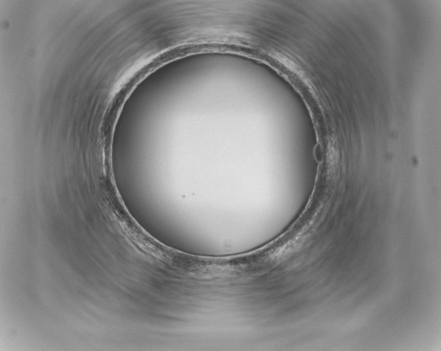 X0000060240925200511111925