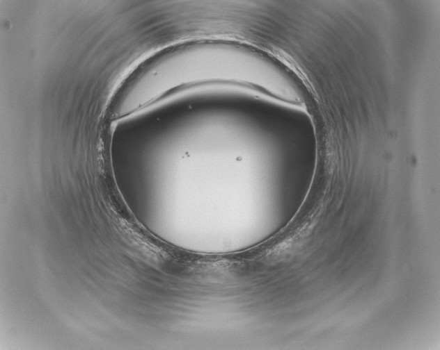 X0000060240926200511111925