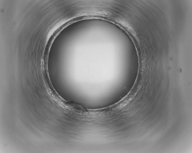 X0000060240928200511111925