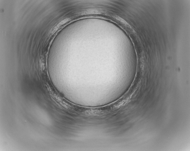 X0000060240929200511111925