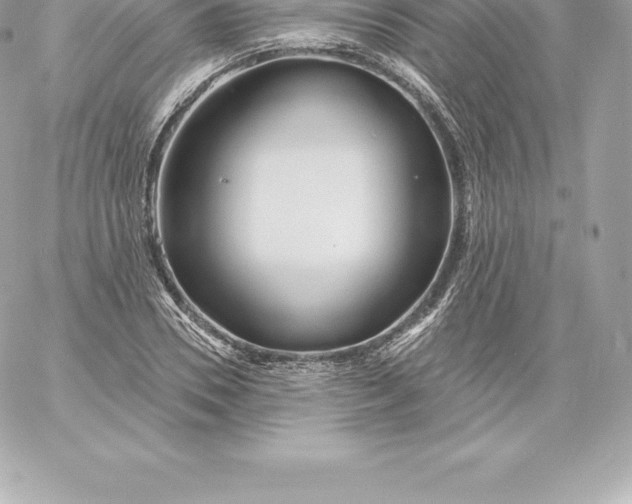 X0000060240930200511111925