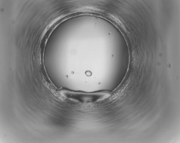 X0000060240931200511111926