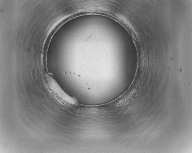 X0000060240932200511111926