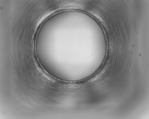 X0000060240933200511111926