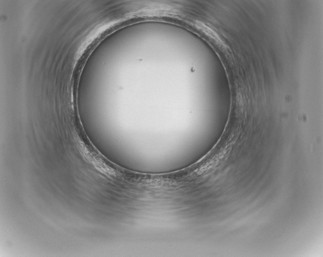 X0000060240934200511111926