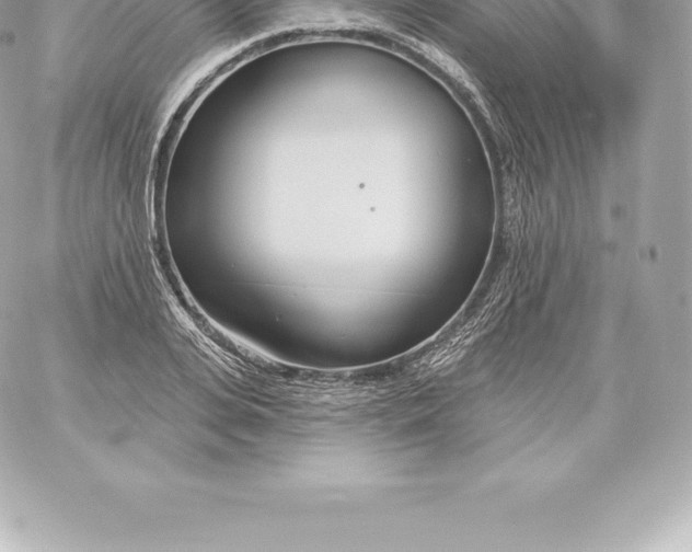 X0000060240935200511111926