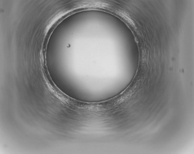 X0000060240936200511111926