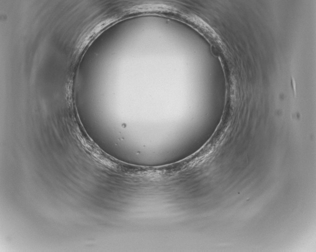 X0000060240937200511111926