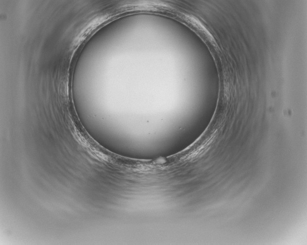 X0000060240938200511111926