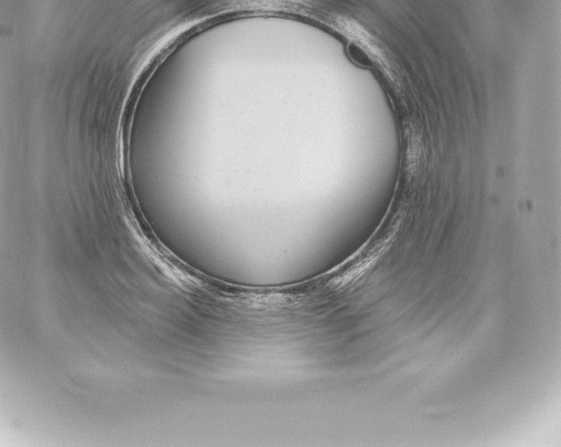 X0000060240940200511111926