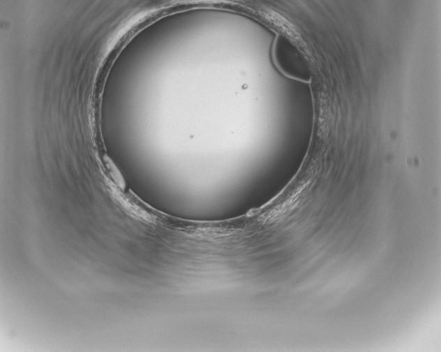 X0000060240942200511111926