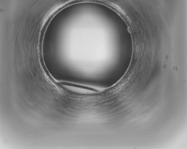 X0000060240943200511111926