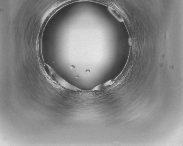 X0000060240944200511111926