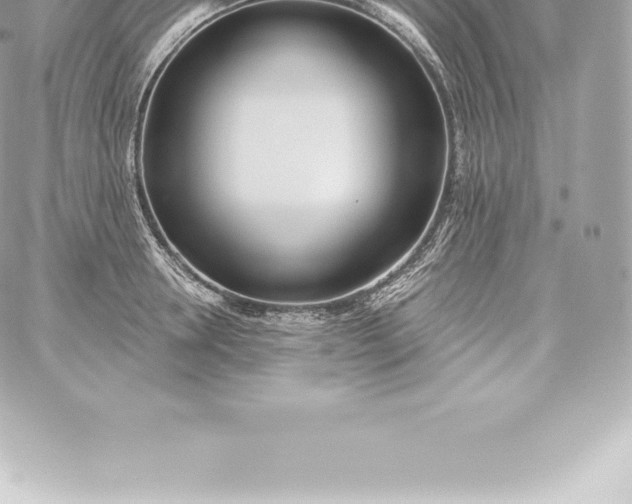 X0000060240946200511111926