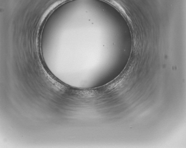 X0000060240947200511111926