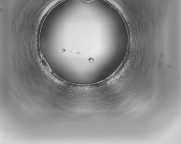 X0000060240949200511111926